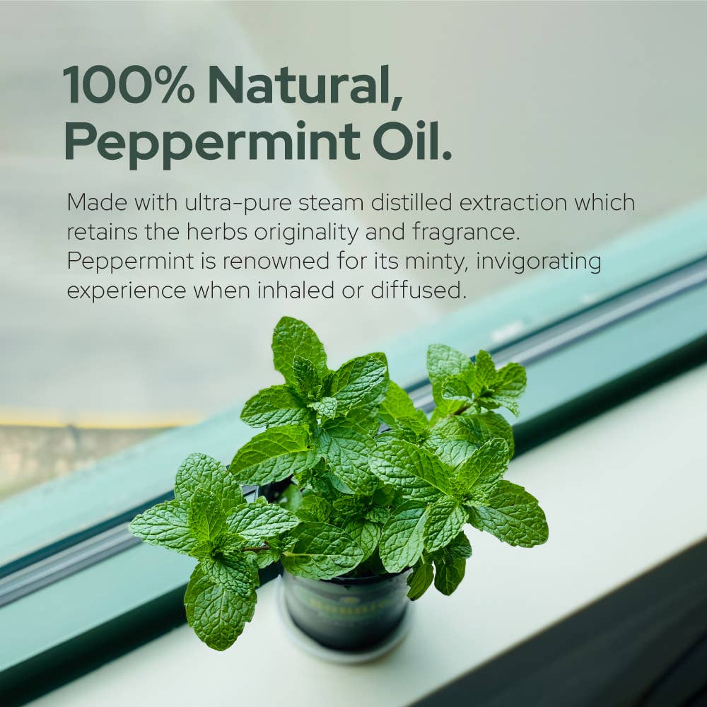 Plant of Life - Pure Peppermint Essential Oil - Therapeutic Grade