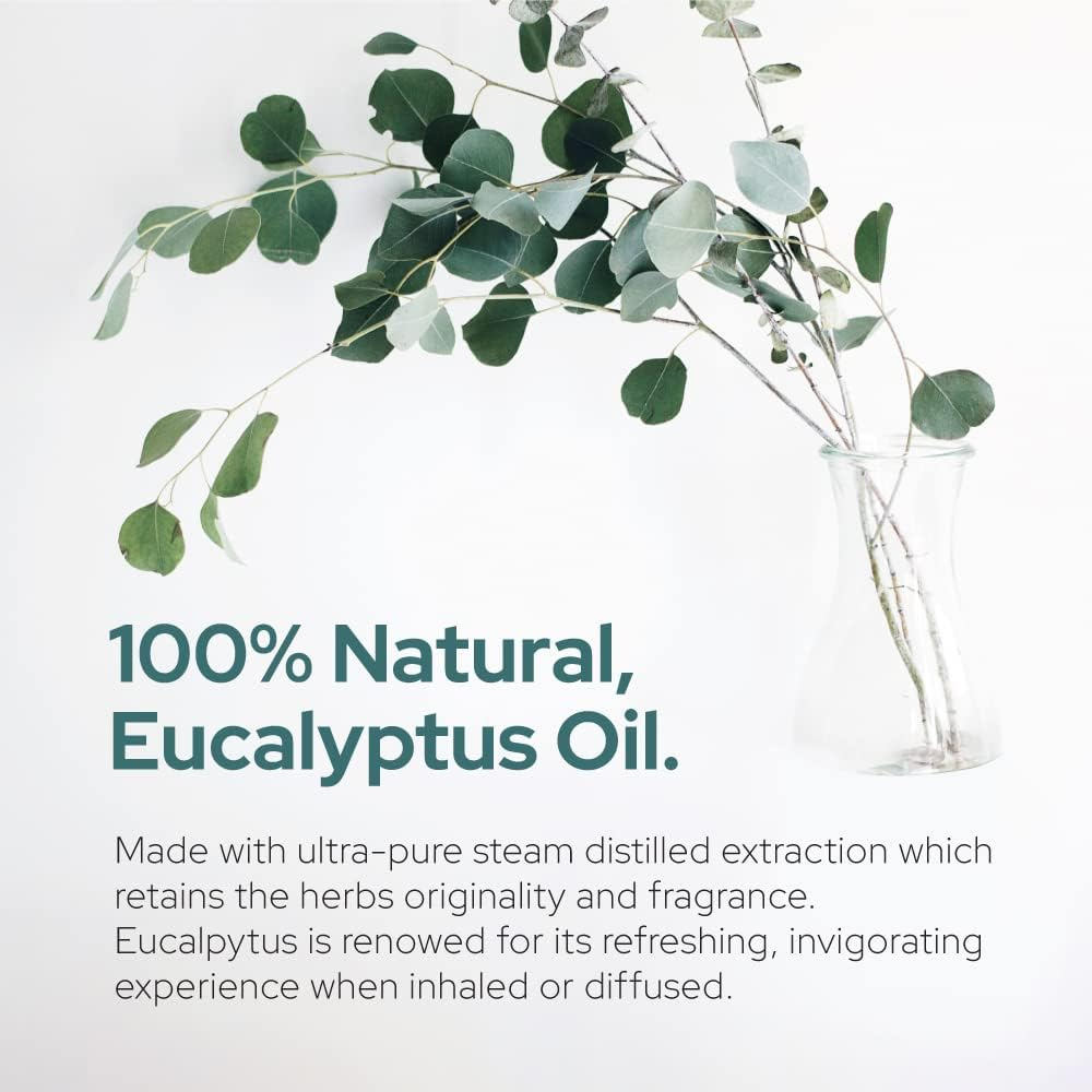 Plant of Life - Eucalyptus Essential Oil | Therapeutic Grade