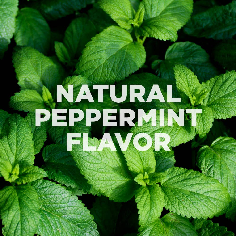 Plant of Life - Natural Mouth Pulling Oil | Ayurvedic and Mint - 240ml