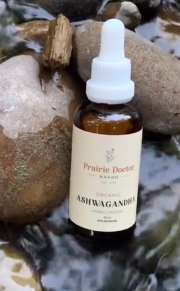 Daydream Organics | Prairie Doctor Brand - Ashwagandha Herbal Tincture
