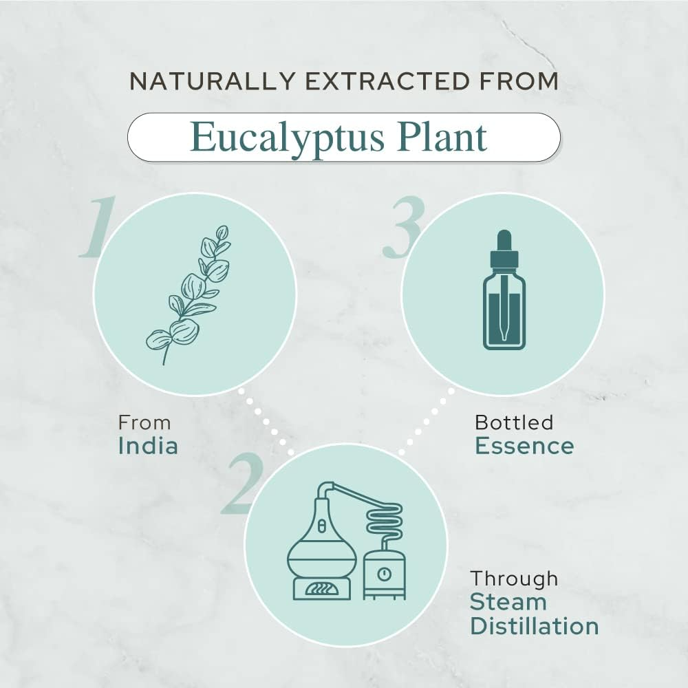 Plant of Life - Eucalyptus Essential Oil | Therapeutic Grade