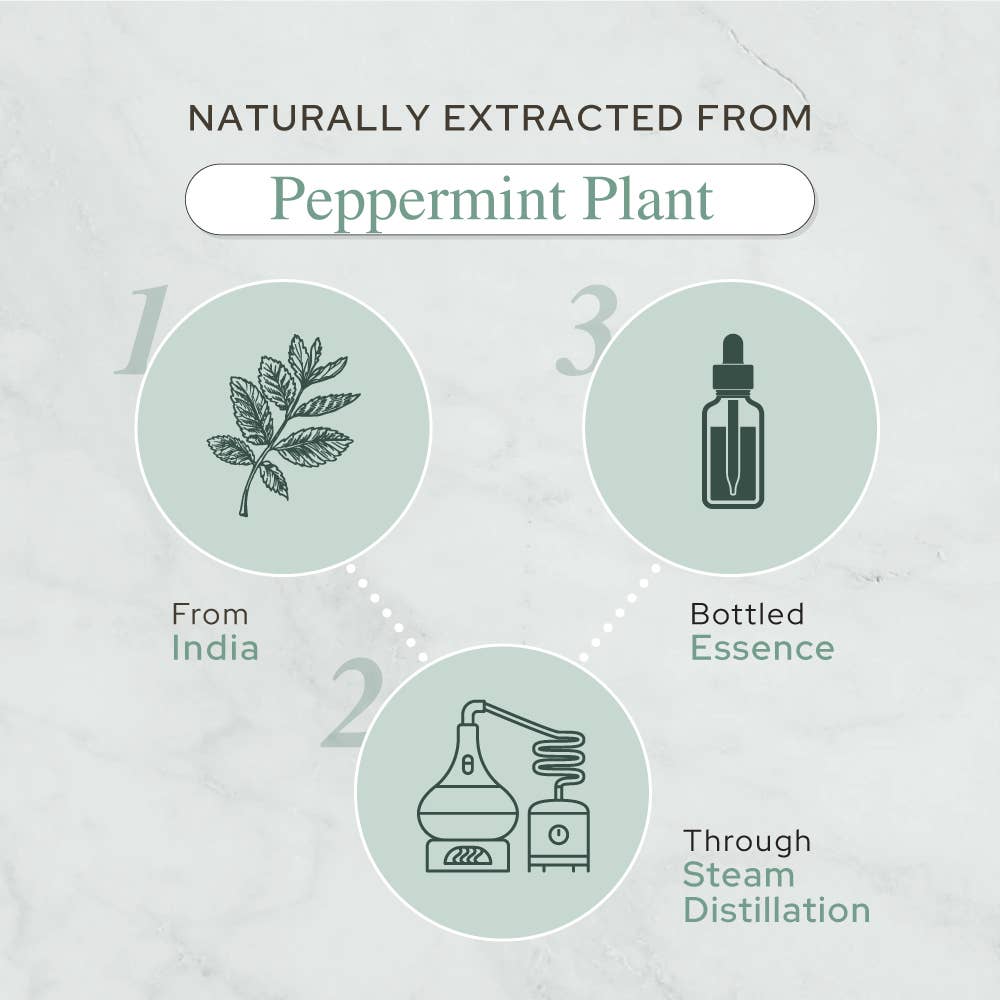 Plant of Life - Pure Peppermint Essential Oil - Therapeutic Grade