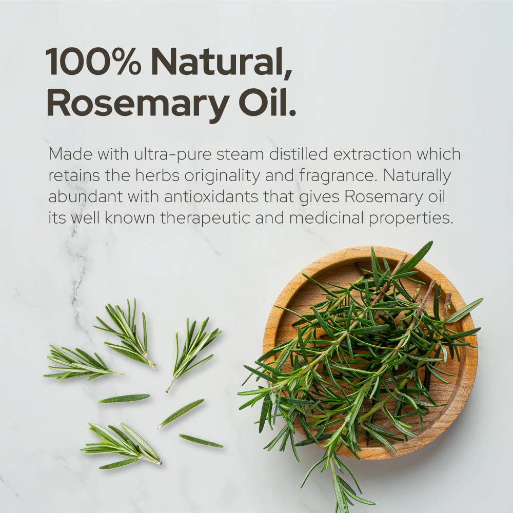 Plant of Life - Rosemary Essential Oil for Aromatherapy Hair, Skin, & Nails