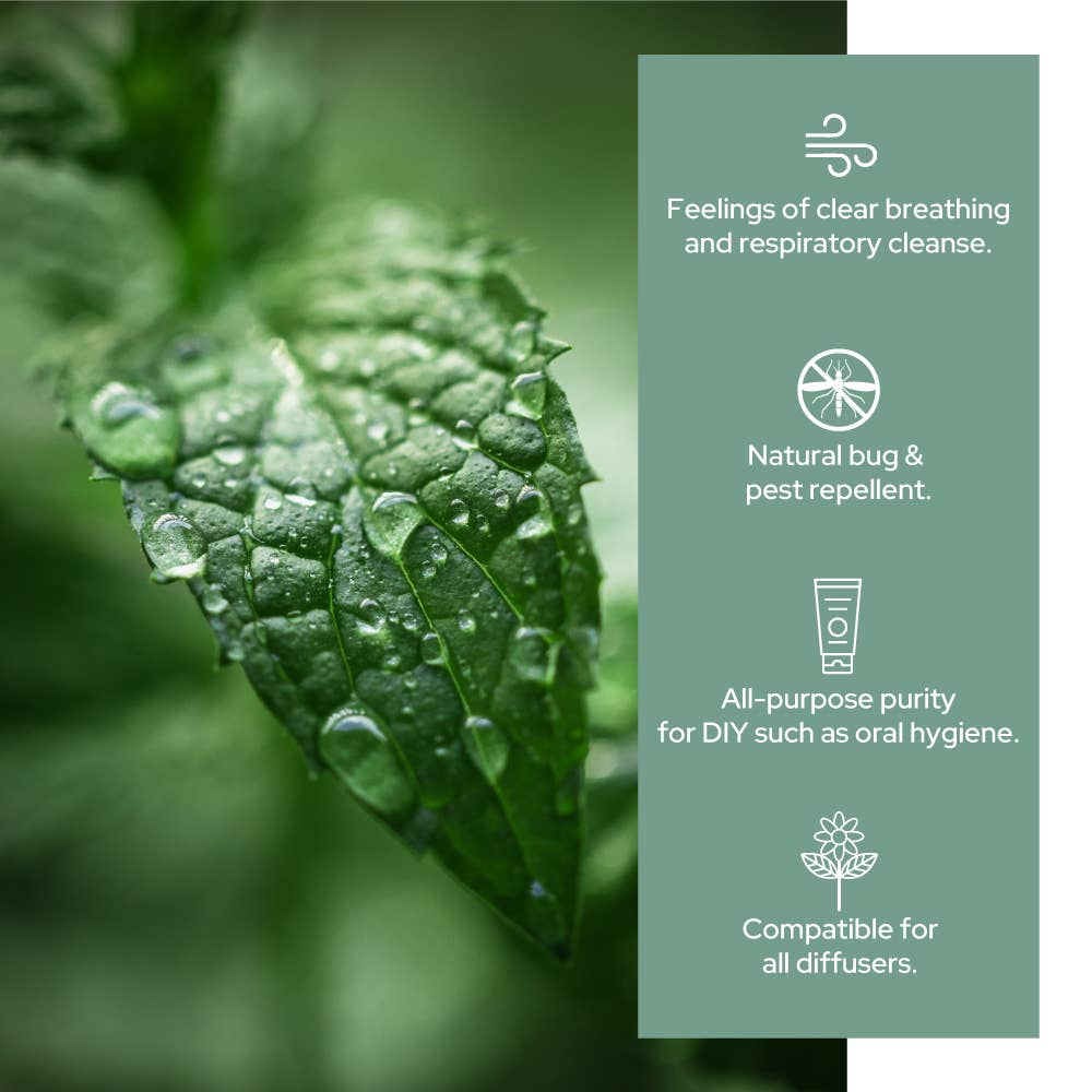 Plant of Life - Pure Peppermint Essential Oil - Therapeutic Grade