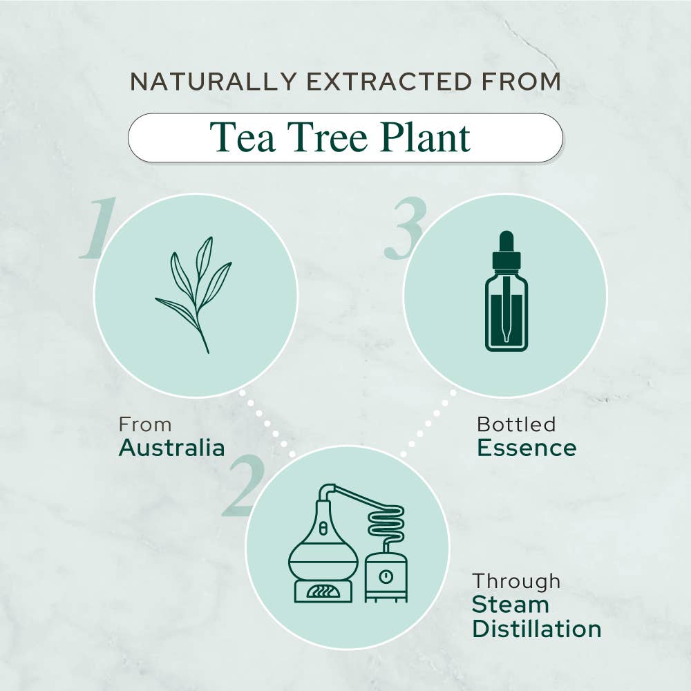 Plant of Life - Tea Tree Oil for Aromatherapy, Skincare and Haircare