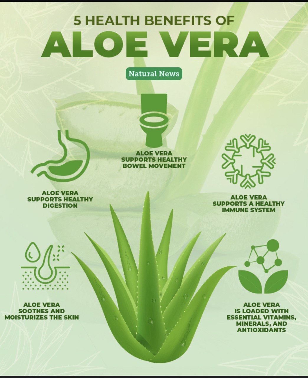 Beauty Of Juliet - Aloe Vera Gel: Aloe Vera Gel