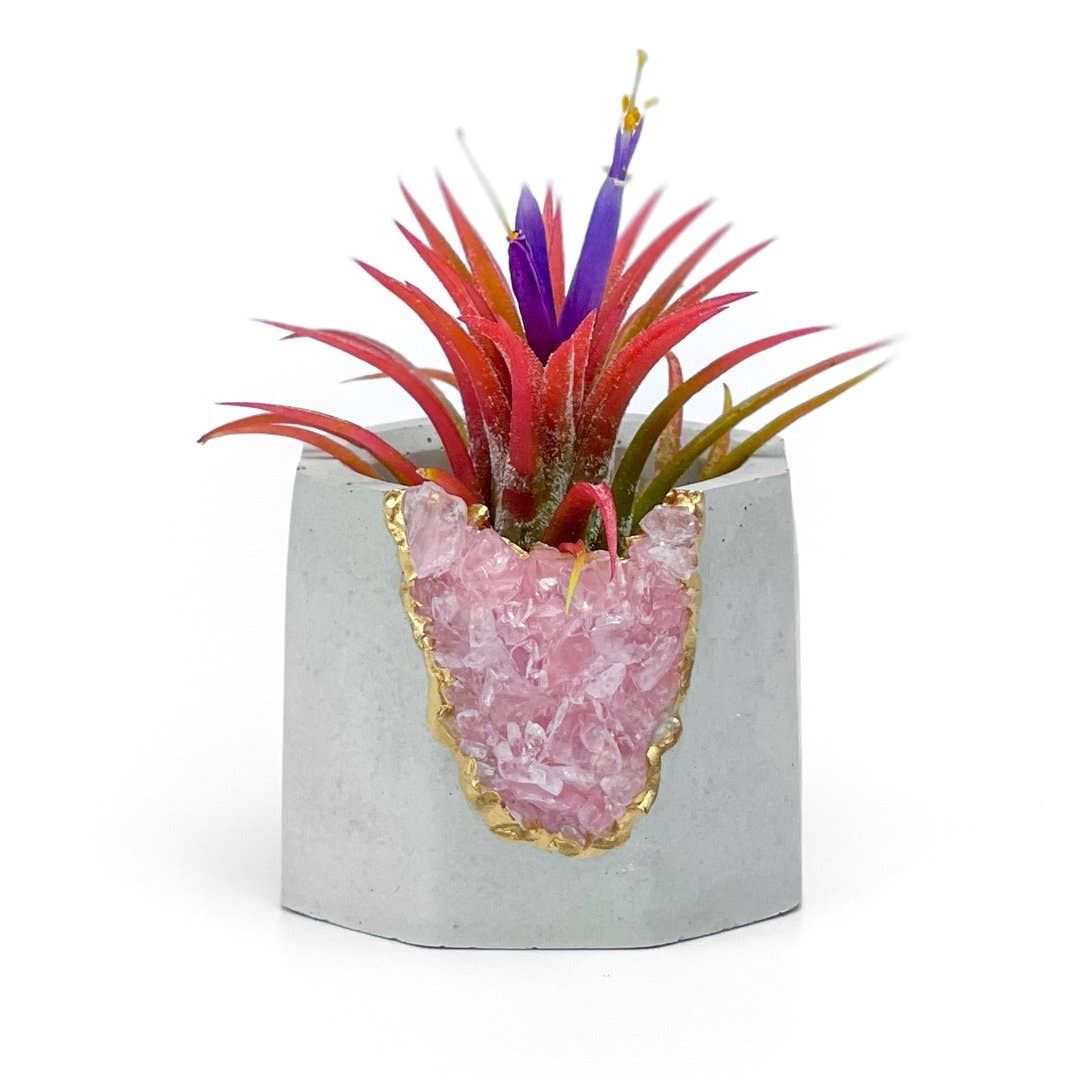 Rose Quartz Geode Planter, Air Plant Holder Succulent Pot