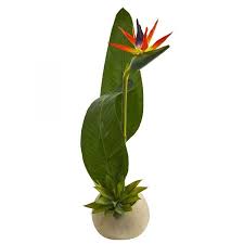 Bird of Paradise Leaf Stem