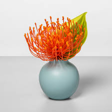 Pin Cushion Protea