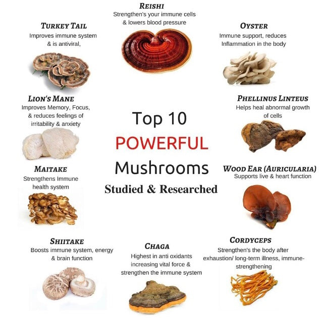 5-Mushroom Coffee (340g)
