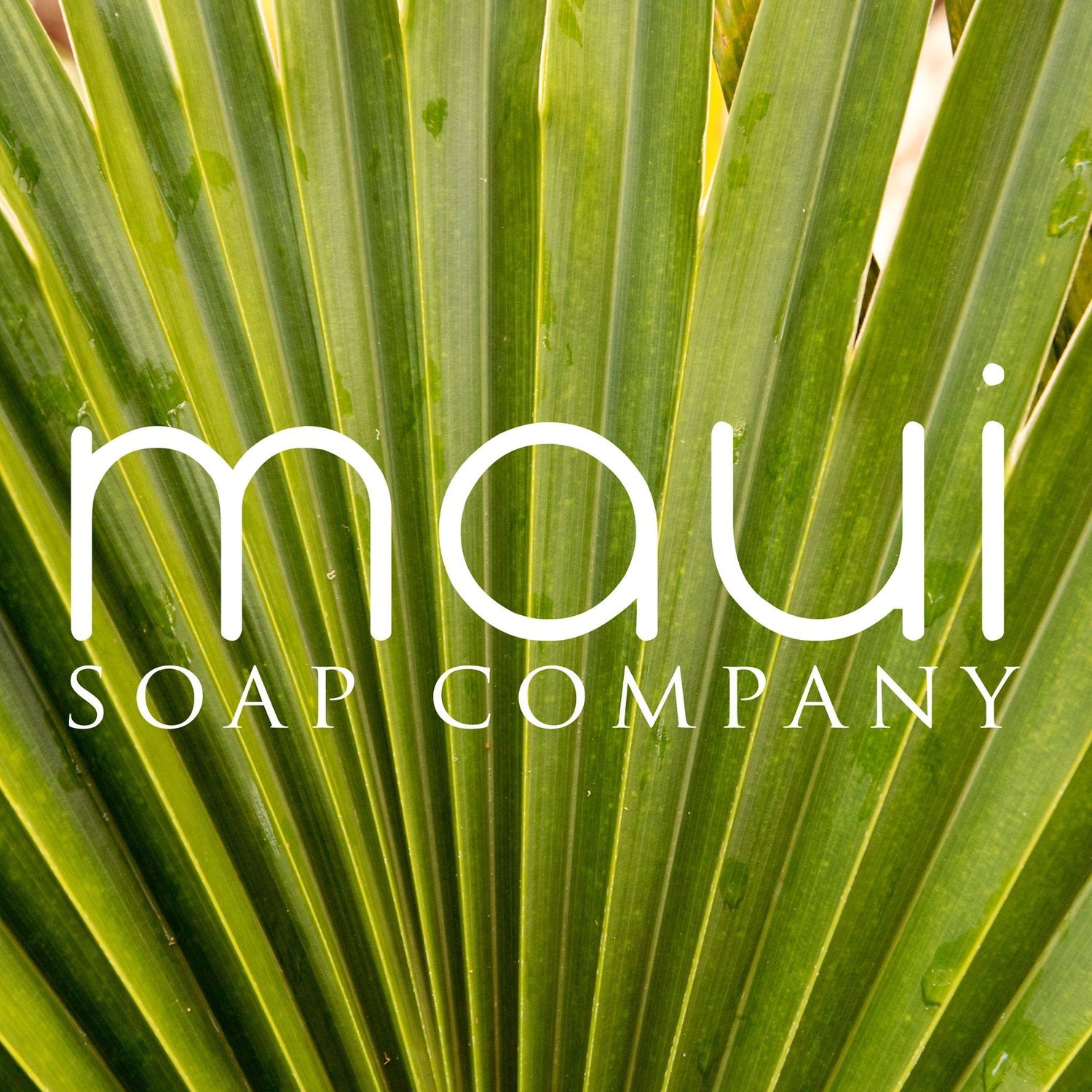 Maui Soap Collection