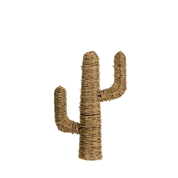 Seagrass Cactus