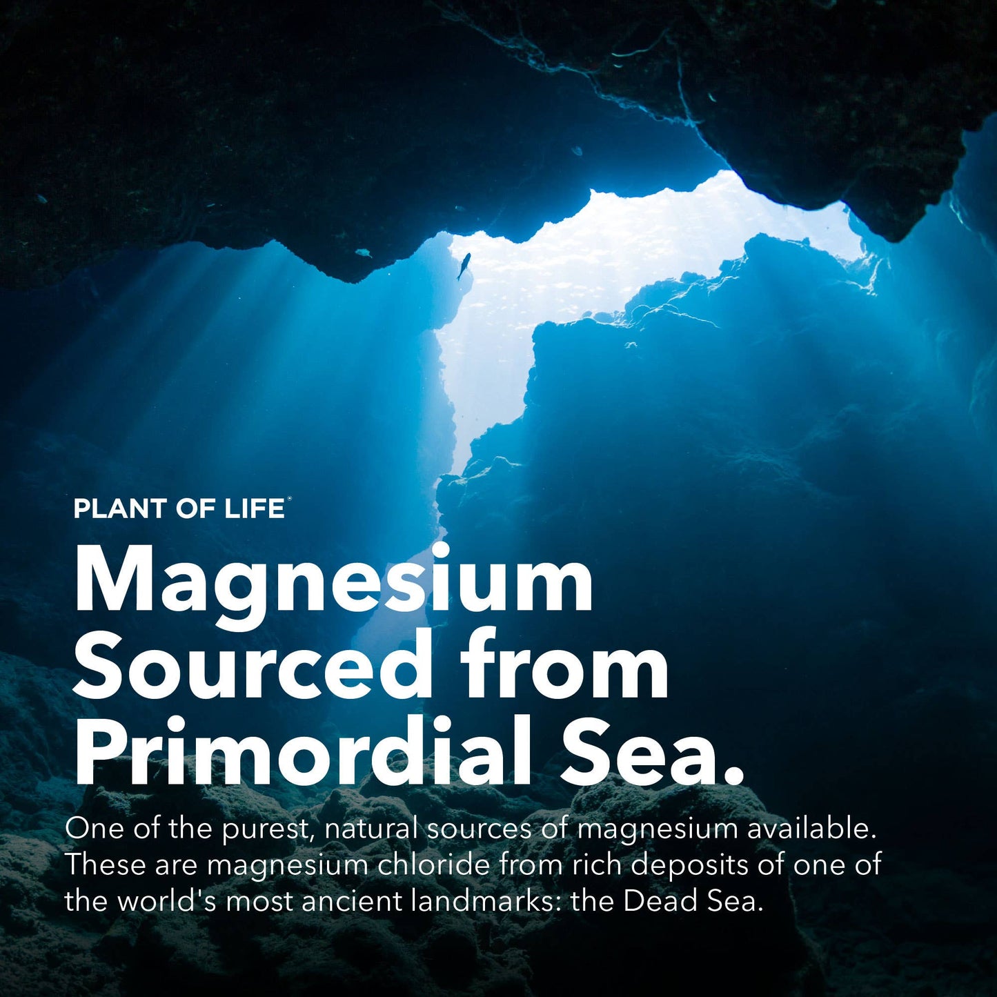 Plant of Life - Pure Magnesium Oil | Relaxation | Post-Workout Recovery