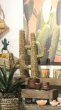Seagrass Cactus