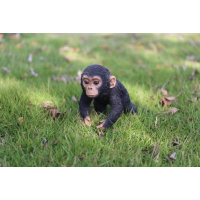 PET PALS - CHIMPANZEE BABY RUNNING