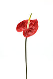 Red Artificial Anthurium Tropical Flower