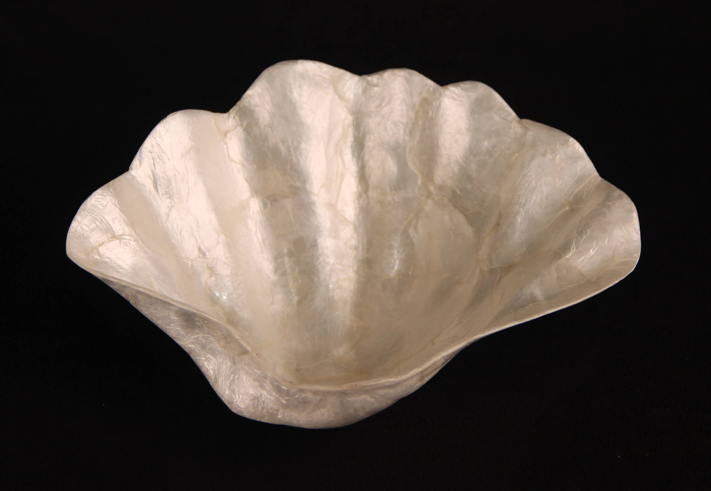Clam Shaped Capiz Shell Bowl- medium 8”