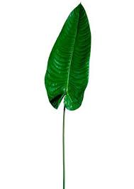 Faux Tropical Elephant Ear Leaf Stem